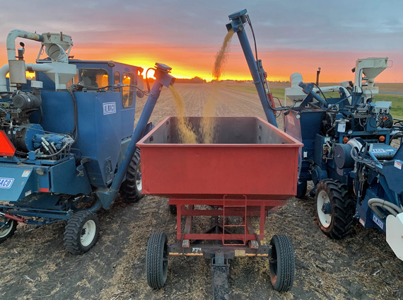 bean combines unloading | Riverton Research